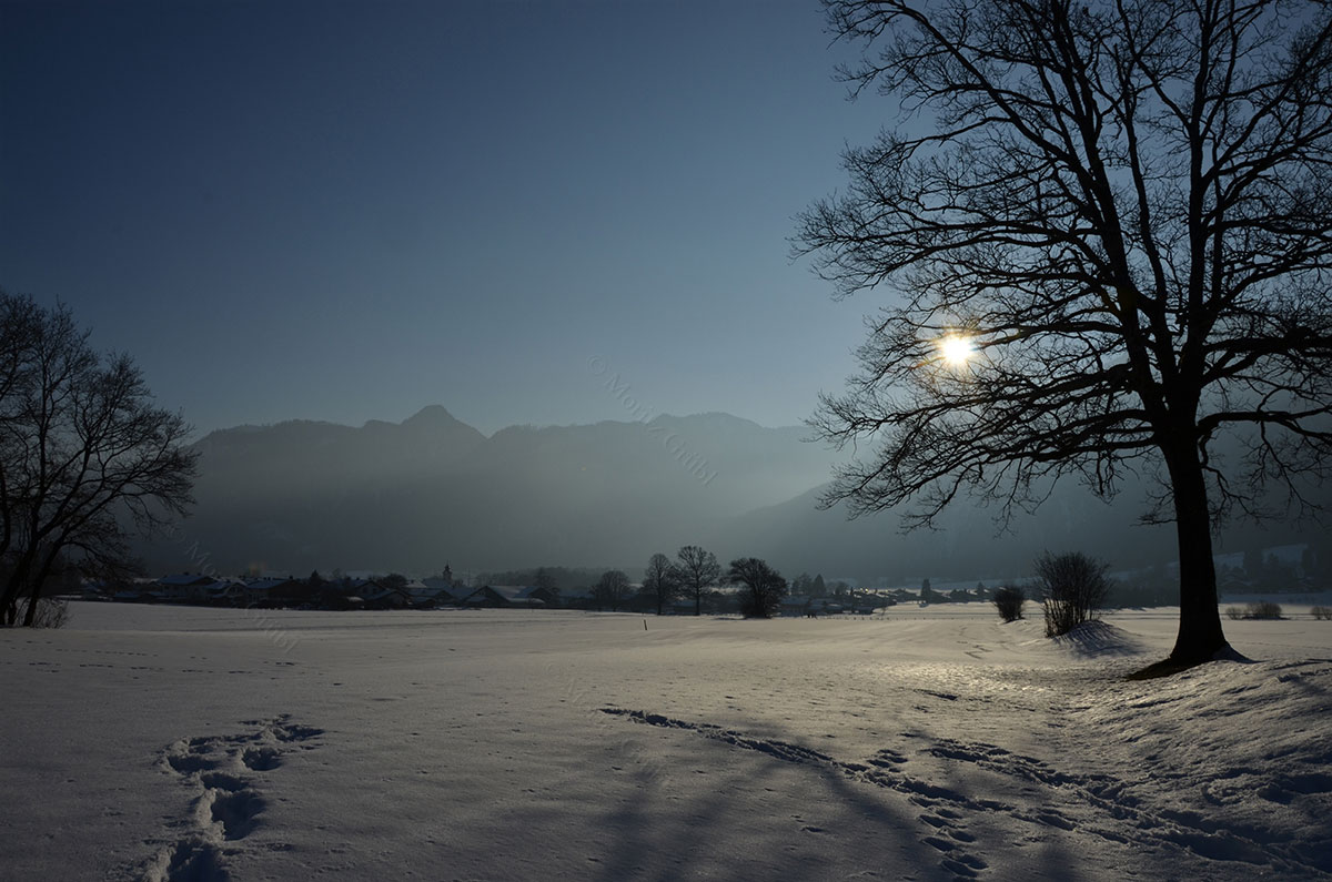 Winter